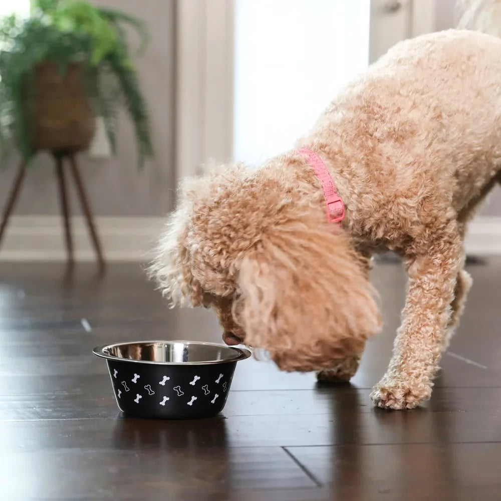 Medium Stainless Steel Dog Bowl, Black with Bones, 25.75 Fluid Ounces