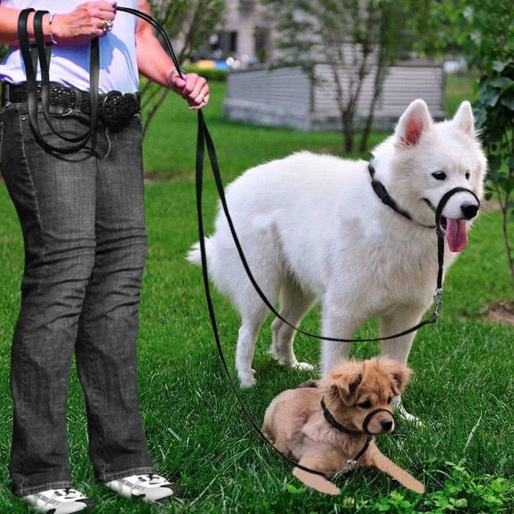 Adjustable Dog Head Collar Head Halter Pulling Gentle Control Includes Leash Training Guide Suitable Walks Parks Vets