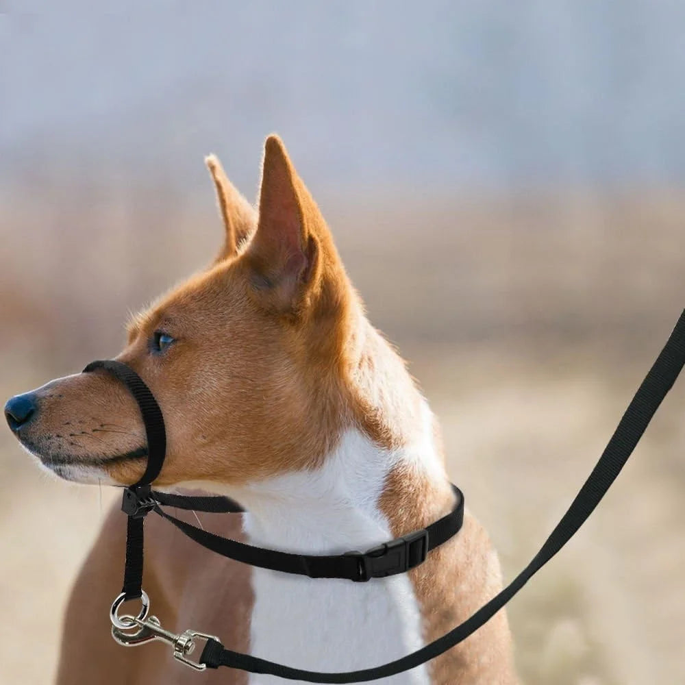 Adjustable Dog Head Collar Head Halter Pulling Gentle Control Includes Leash Training Guide Suitable Walks Parks Vets