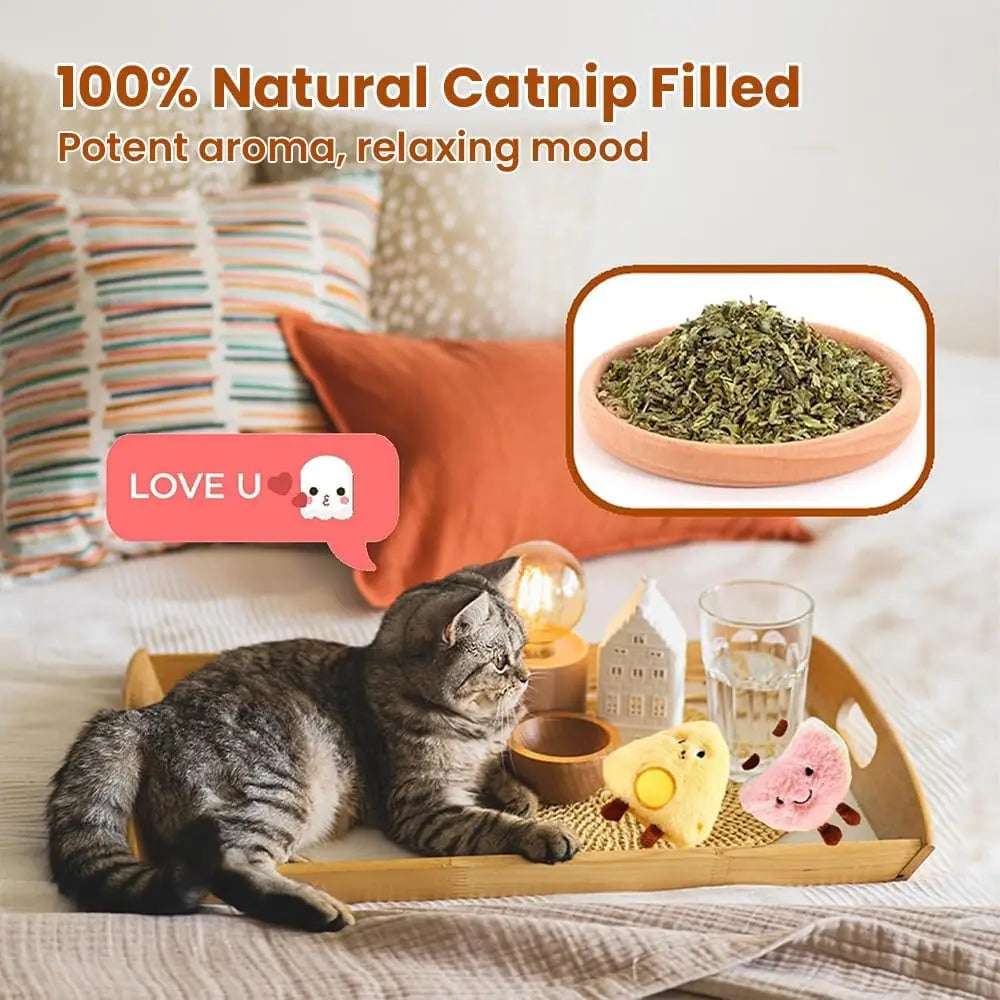 4 Pack Catnip Toys, Soft Stuffed Crinkle Cat Toys for Indoor Cats, Interactive Cute and Durable Kitten Toy, Cat Kicker for