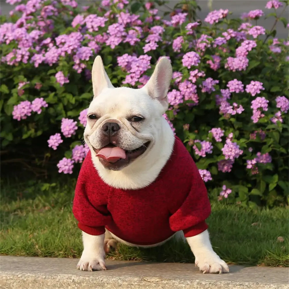 Dog Sweater Dog Clothes Warm Dog Sweater for Fall/Winter