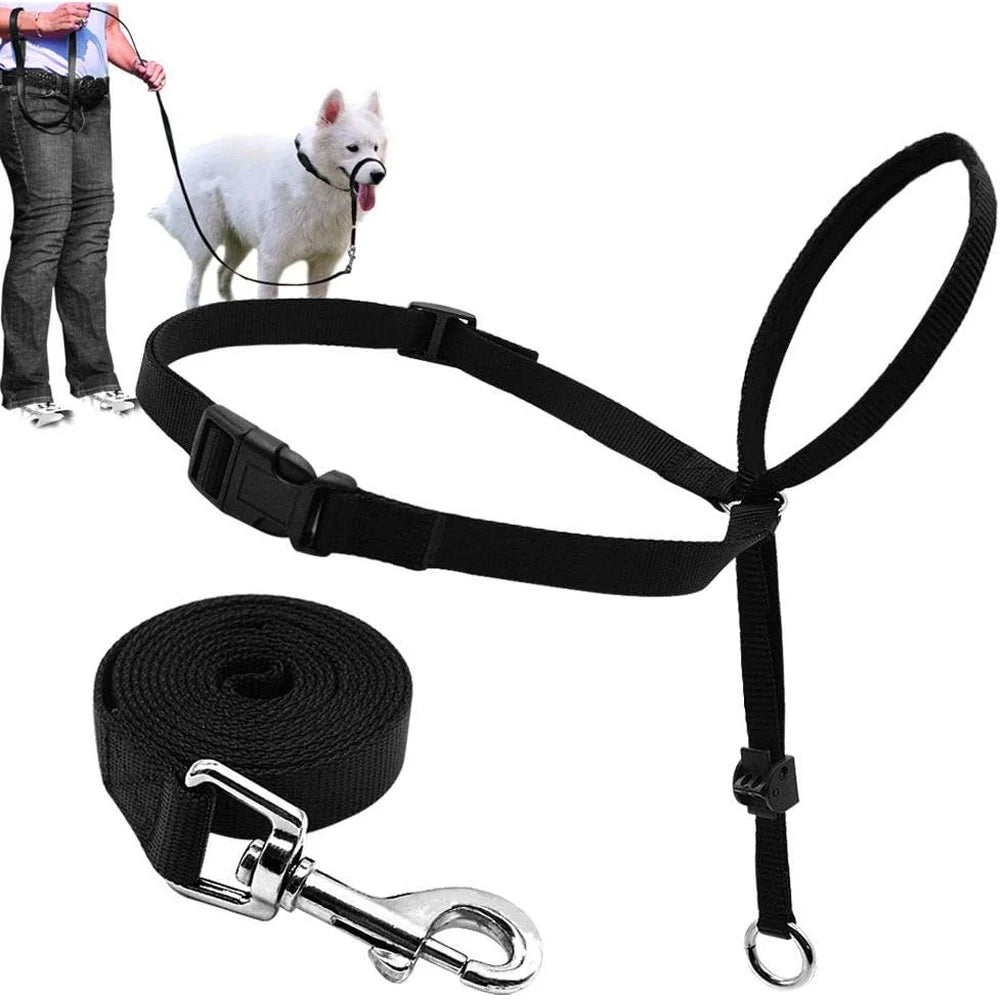 Adjustable Dog Head Collar Head Halter Pulling Gentle Control Includes Leash Training Guide Suitable Walks Parks Vets