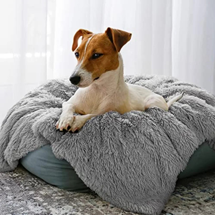 Luxury Fluffy Dog Blanket Era Soft and Warm Sherpa Fleece Pet Blankets for Dogs Cats Plush Furry Faux Fur Puppy Throw Cover 20'