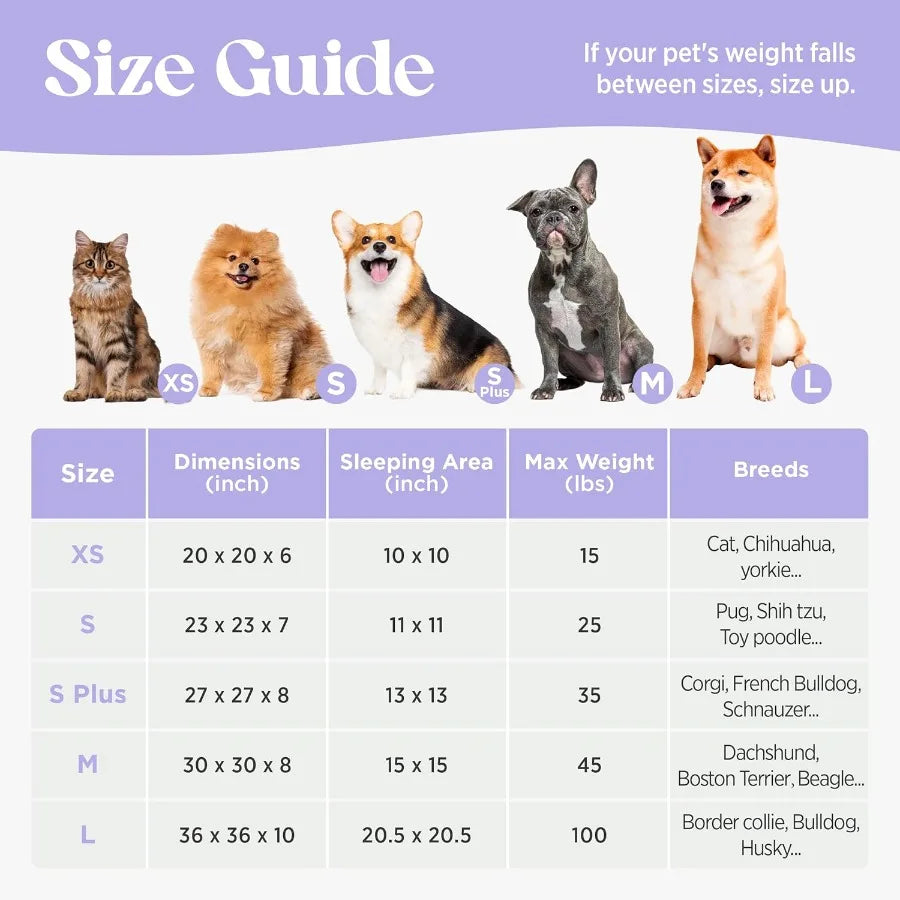 Medium Size Round Dog Bed for Indoor Use with Washable Cover and AntiSlip Bottom Modern Design Shaggy Plush Donut Pet Bed for C