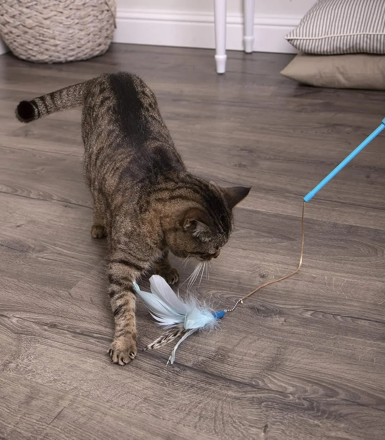 Feather Wand Cat Toy, Extendable Up to 24" - Blue, One Size