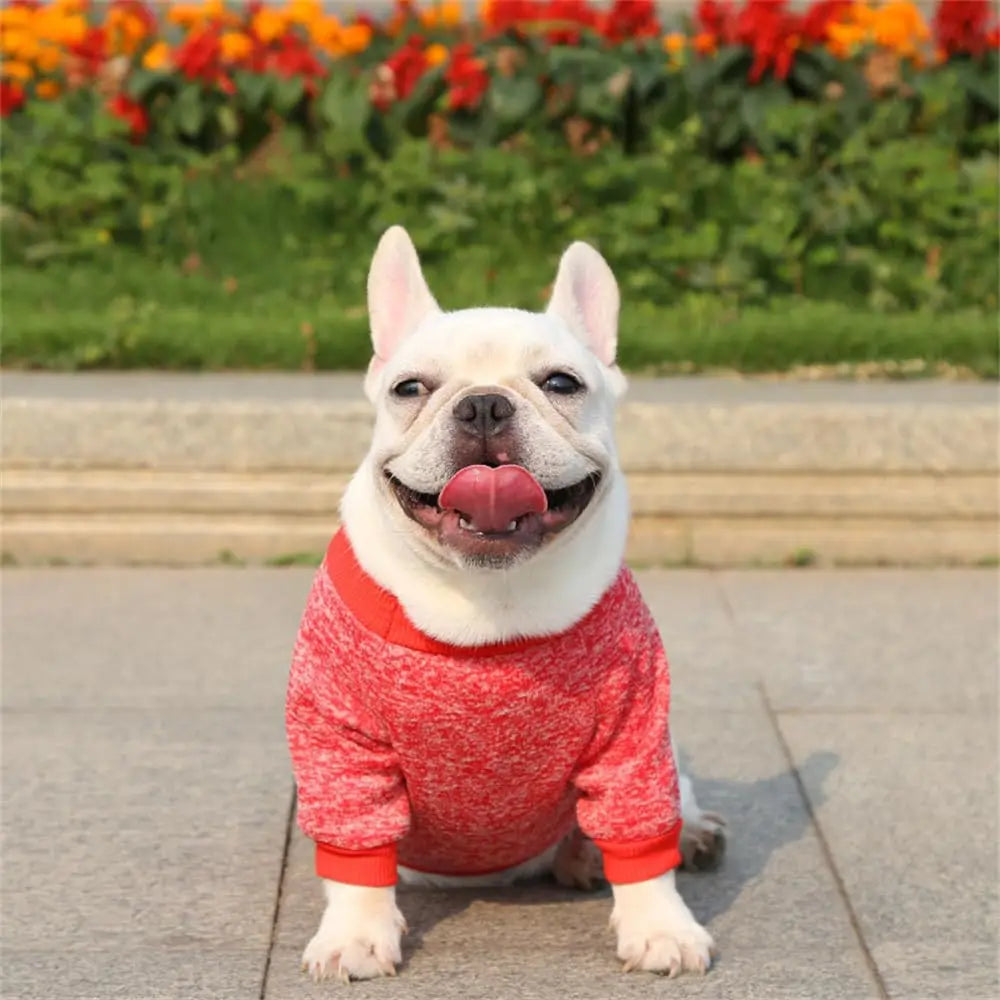 Dog Sweater Dog Clothes Warm Dog Sweater for Fall/Winter