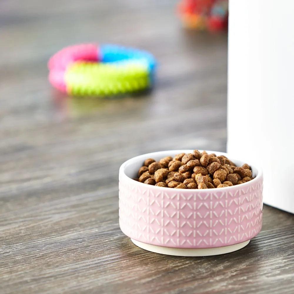 Small Ceramic Pet Bowl, Pink, Dog