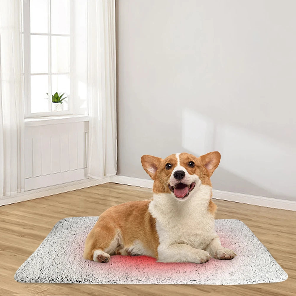 Self-Warming Cat Bed Pad Self-Heating Thermal Cat Dog Bed Mat Washable Pet Sleeping Mat Comfortable for Indoor Cats & Small Dogs
