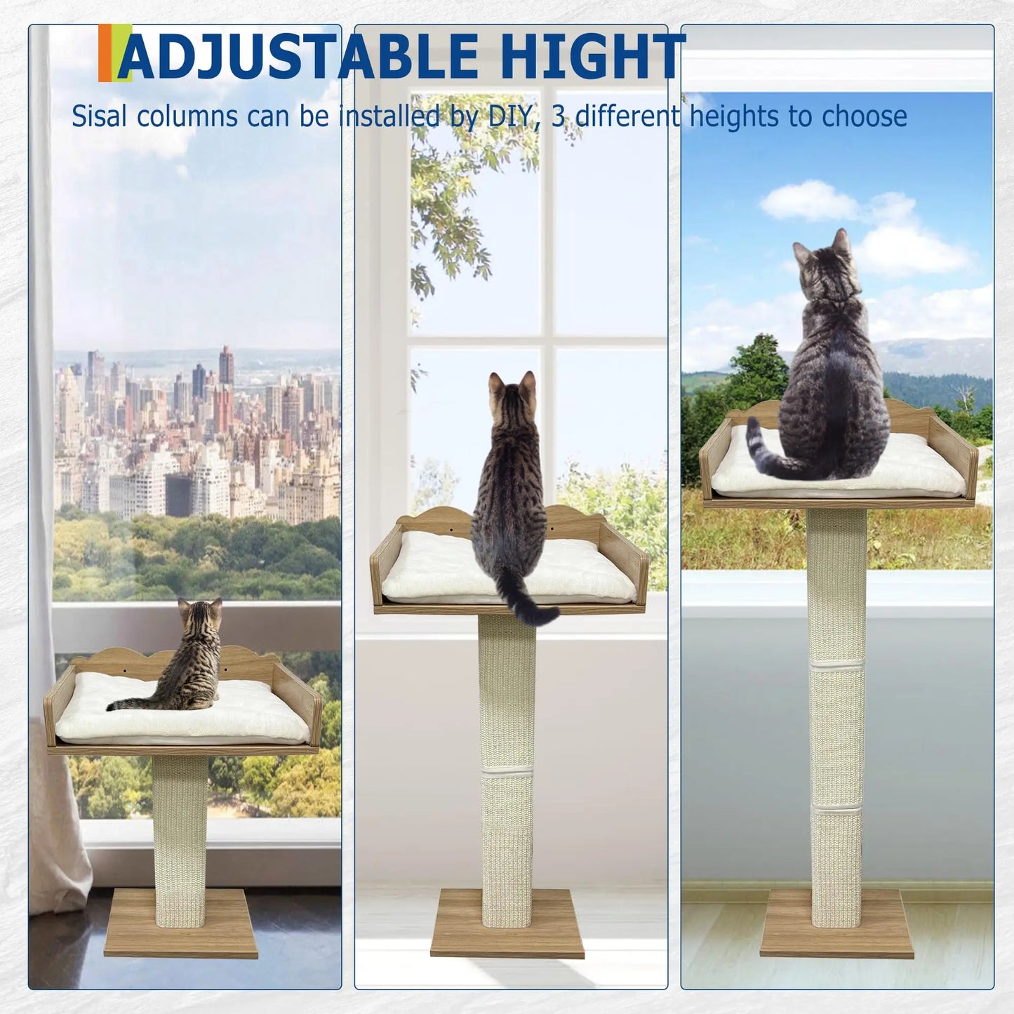 Window Cat Tree Cat Perch with Tall Scratching Posts and 2 Platforms, 40" Sisal Climbing Kitten Tree Hammmock with Suction Cups,