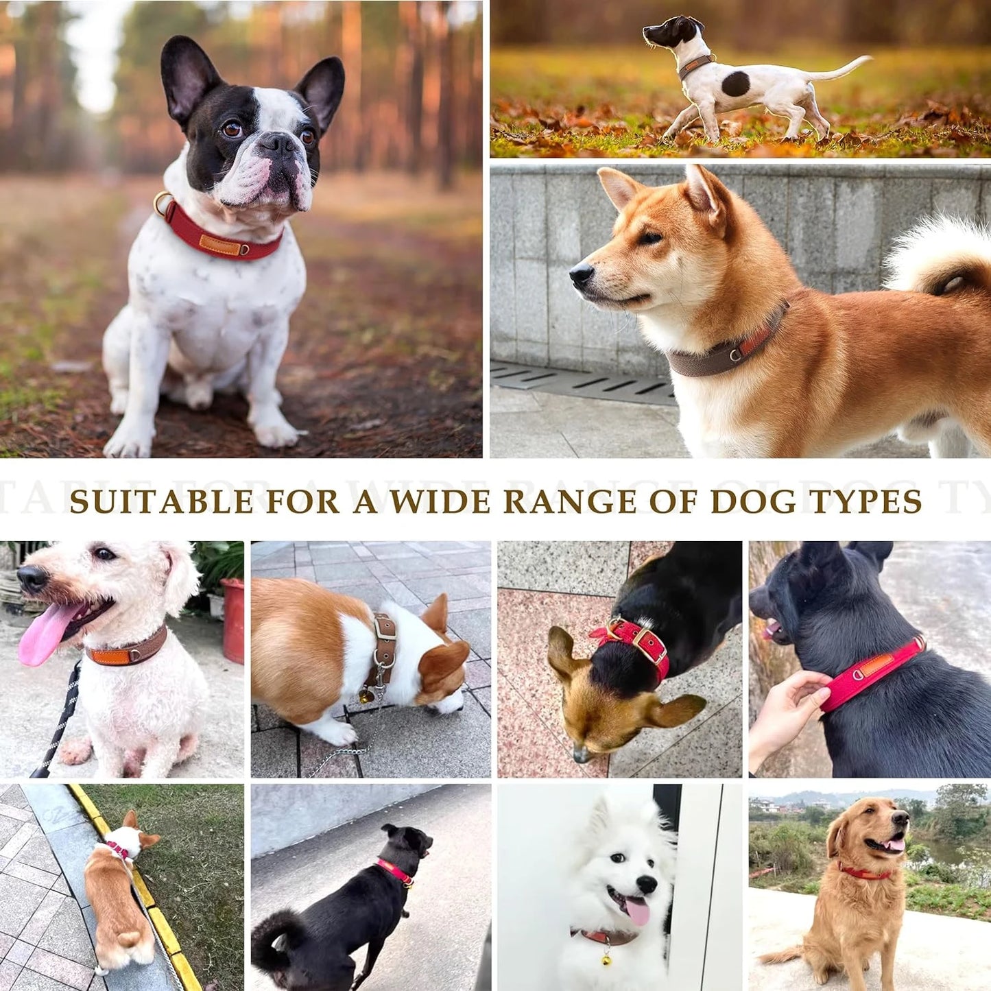 Added Comfort Soft, Comfortable, and Convenient Red Neoprene Nylon Adjustable Dog Collar for Small/Medium Dogs - Perfect Easy-to