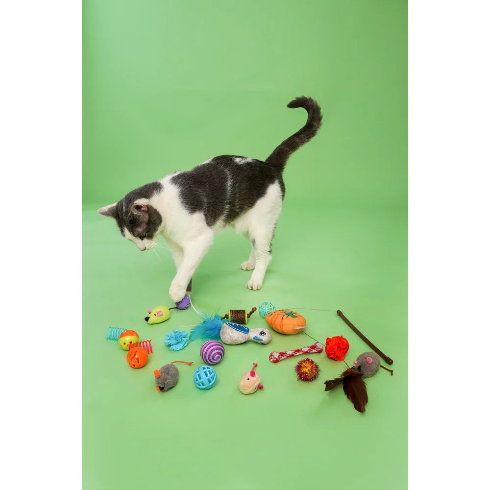 Cat Toy Variety Pack 20 Count with Silver Vine Catnip Natural Cat Attractants Multi-Cat Households Interactive