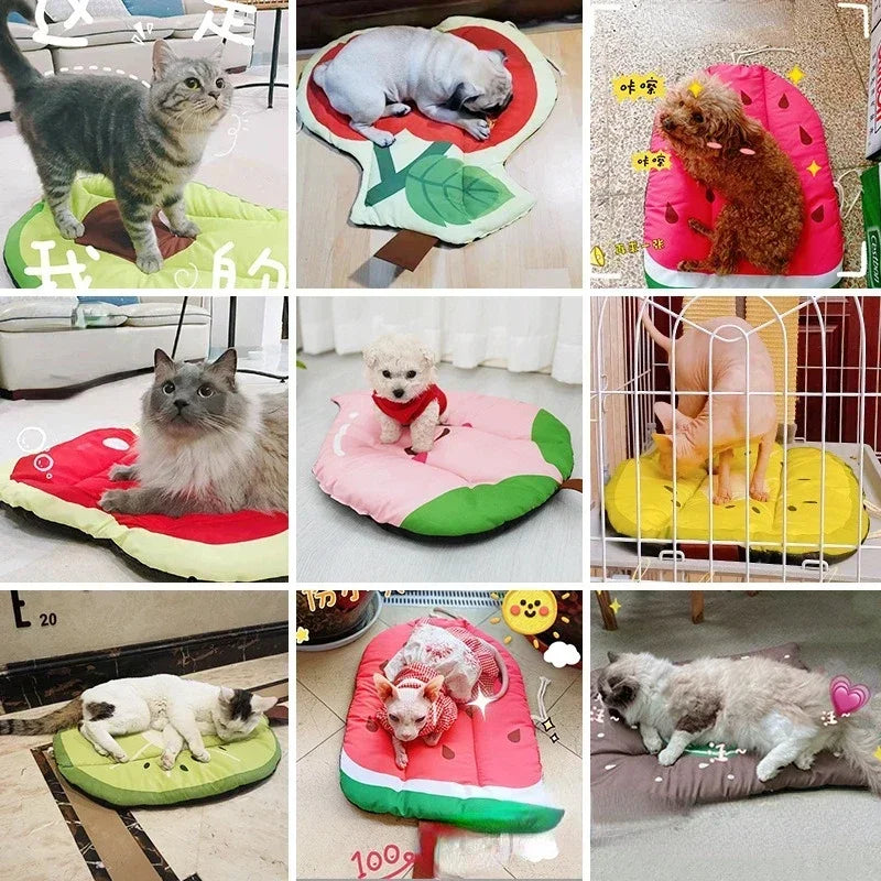 Dog Mat Cooling Summer Pad Mat Dogs Cat Blanket Sofa Breathable Cold Pet Dog Bed Summer Washable Small Medium Large Dogs Ice Pad