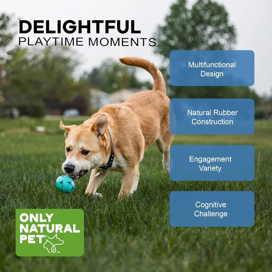 Interactive Rubber Boredom Buster Treat Stuffer Dog Toy with Fillable Feeder Dispenser for Medium and Large Puppies Durable Che