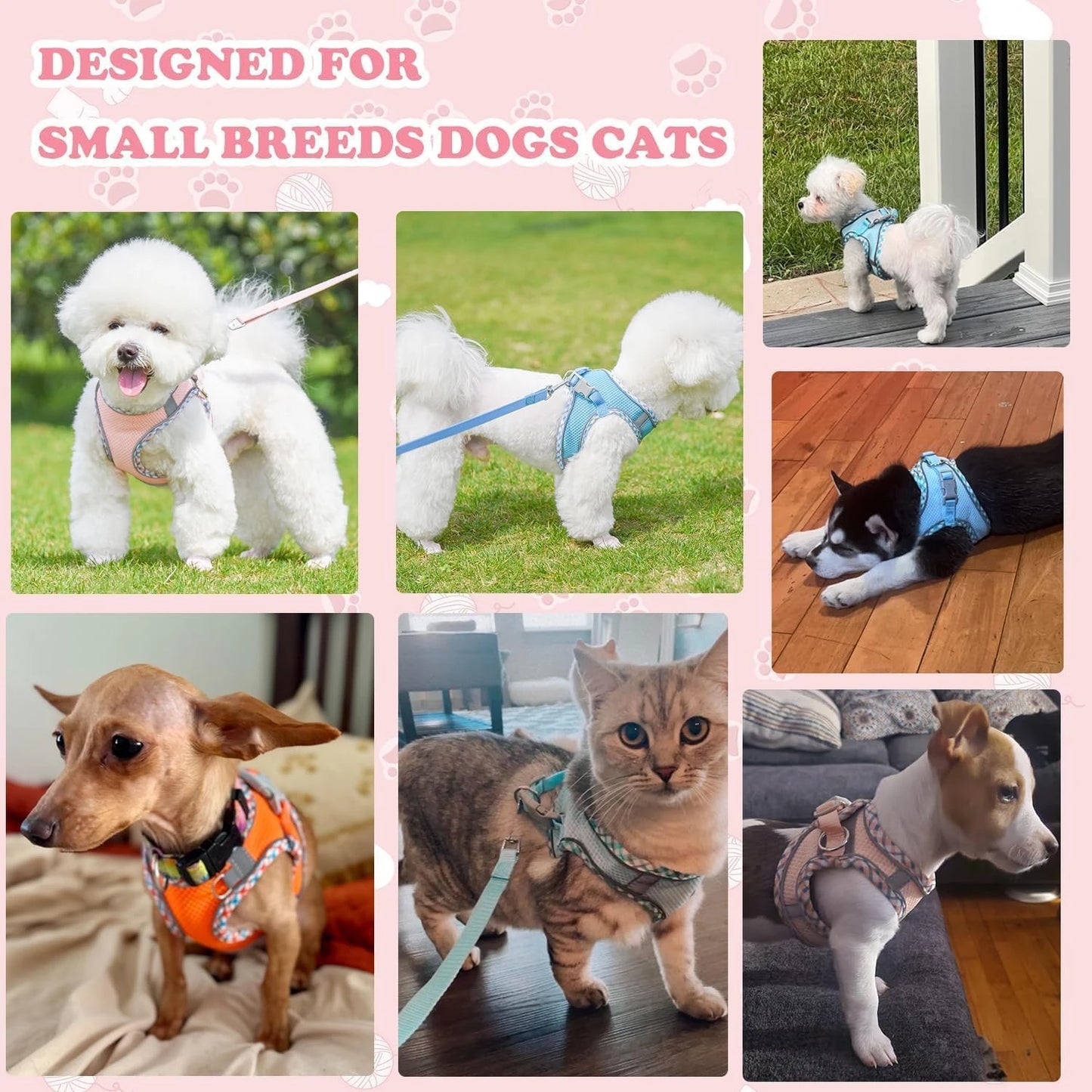 Small/Medium Cozy, Secure, and Reflective Adjustable Dogs Harness Leash Set - Top-Quality No-Pull Step-In Vest for Safe