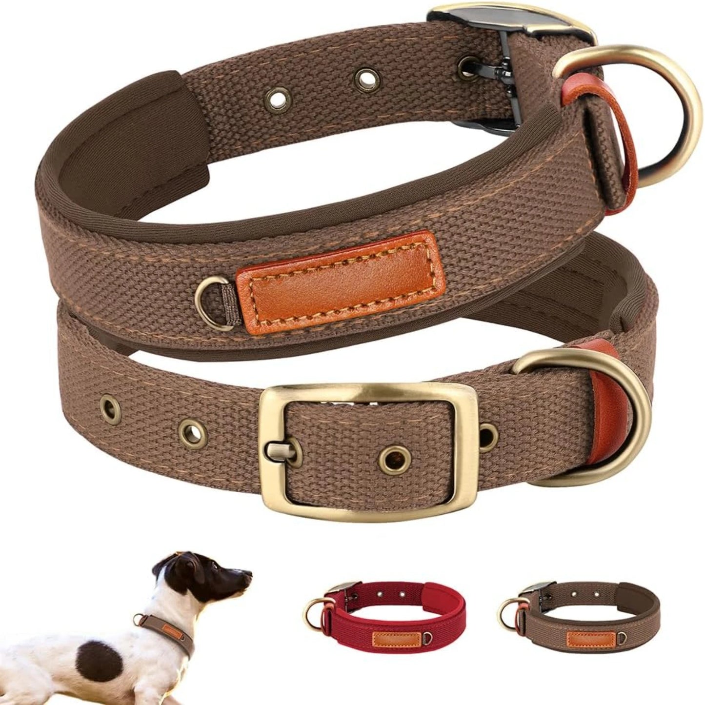 Added Comfort Soft, Comfortable, and Convenient Red Neoprene Nylon Adjustable Dog Collar for Small/Medium Dogs - Perfect Easy-to