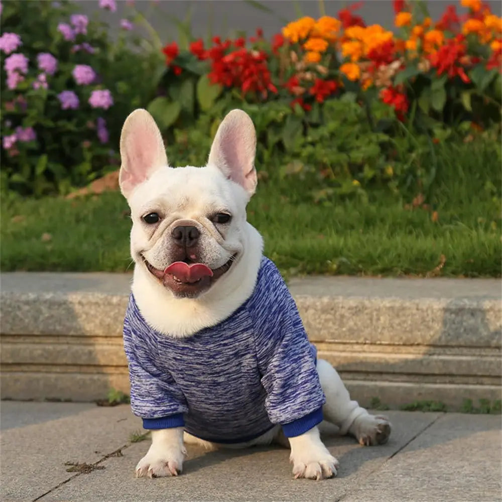 Dog Sweater Dog Clothes Warm Dog Sweater for Fall/Winter