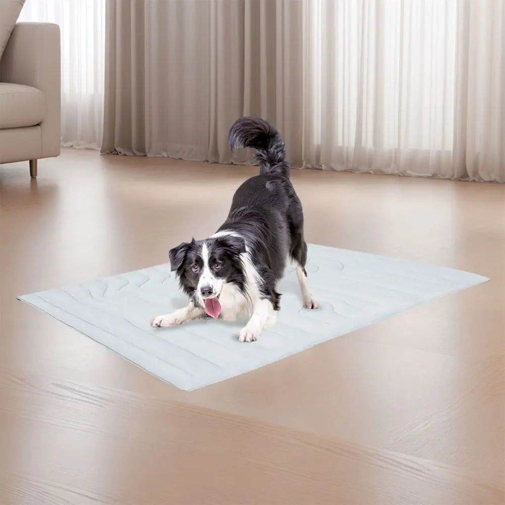 Summer Dog Cooling Mat Washable Pet Cooling Mat Dog Cooling Pad for Dogs and Cats