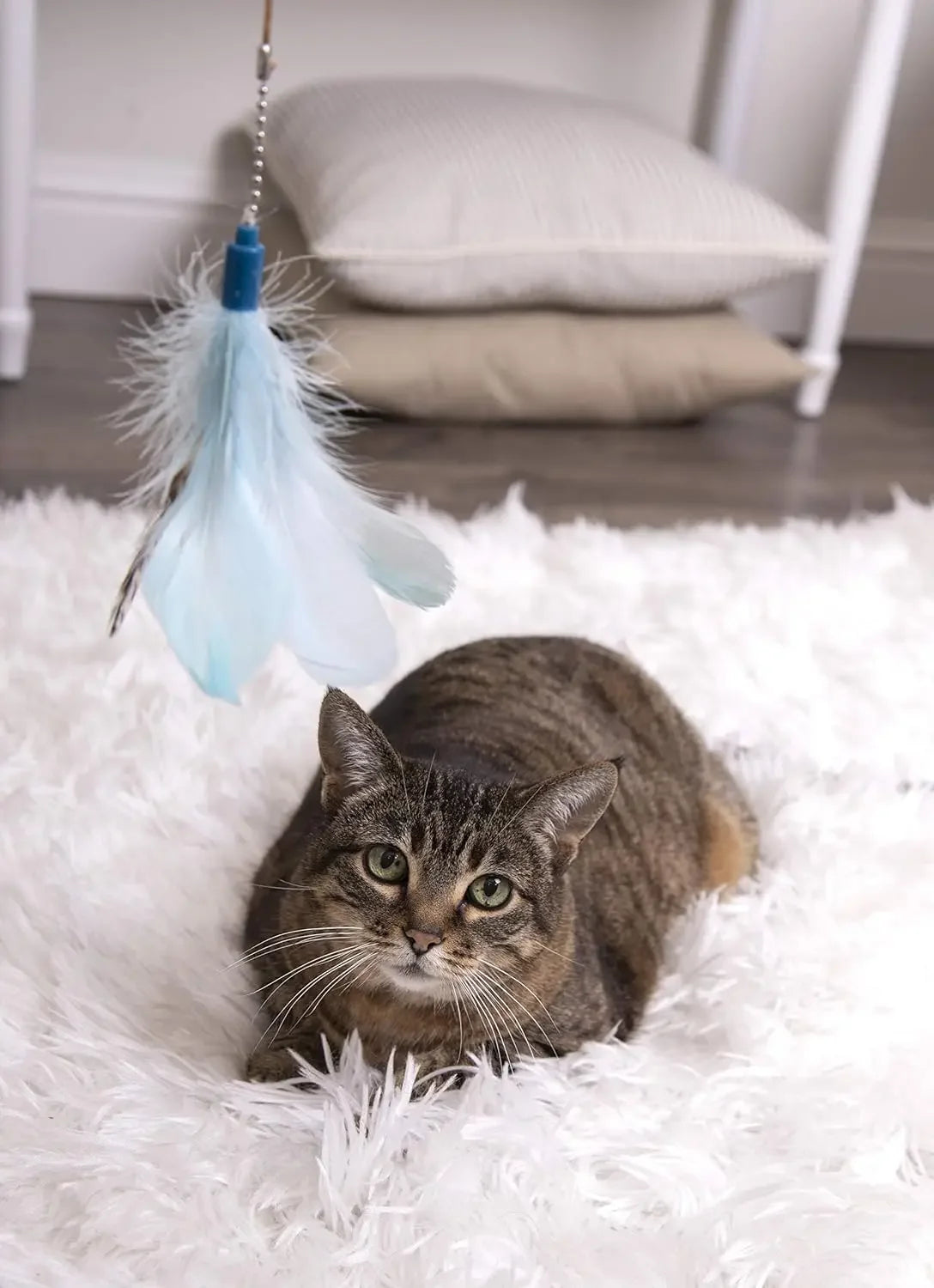 Feather Wand Cat Toy, Extendable Up to 24" - Blue, One Size