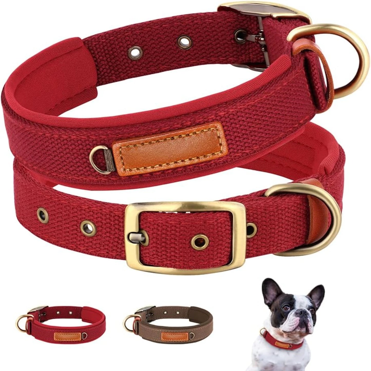 Added Comfort Soft, Comfortable, and Convenient Red Neoprene Nylon Adjustable Dog Collar for Small/Medium Dogs - Perfect Easy-to