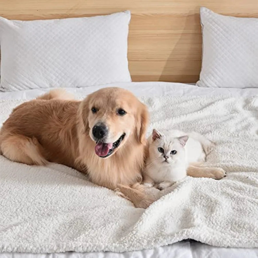 Waterproof Washable Sherpa Fleece Blanket for Small Dogs and Cats Soft Plush Reversible Throw Protector for Bed Couch Car Sofa