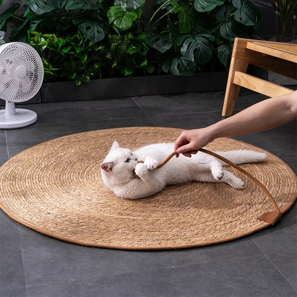 Couch Cat Scratcher Sofa Protection Artifact Cat Supplies Cat Scratch Board Pad Cat Scratching Post Cat Toys Furniture Protector