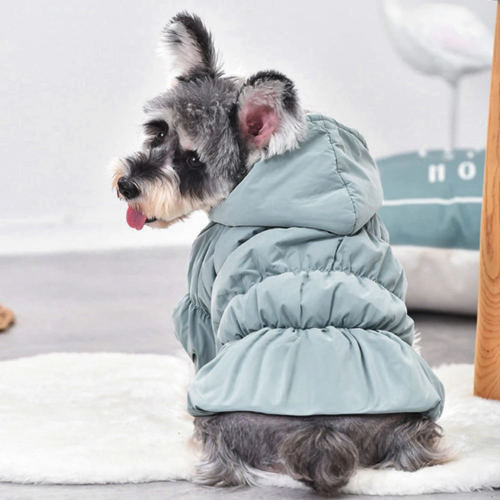 Winter Warm Pet Dog Coat Dogs Hoodies Warm Sweatshirt Cute Floral Bubble Dress Comfortable Soft Clothing Pet Dog Clothes Costume