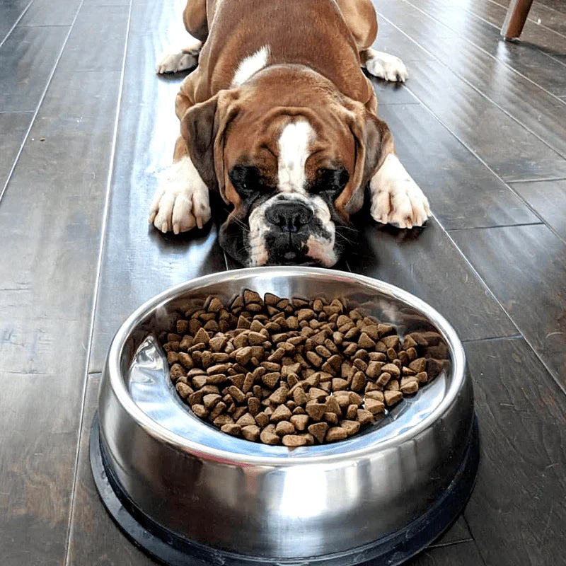 Bowls And Feeding