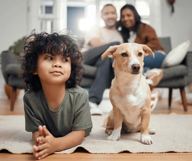 Dog Lovers