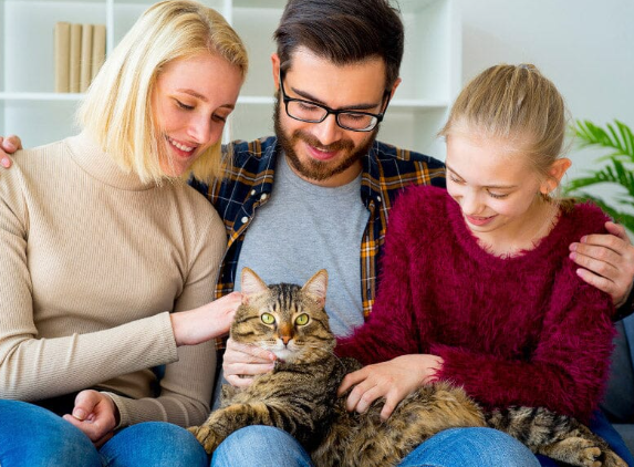 Cat Lovers