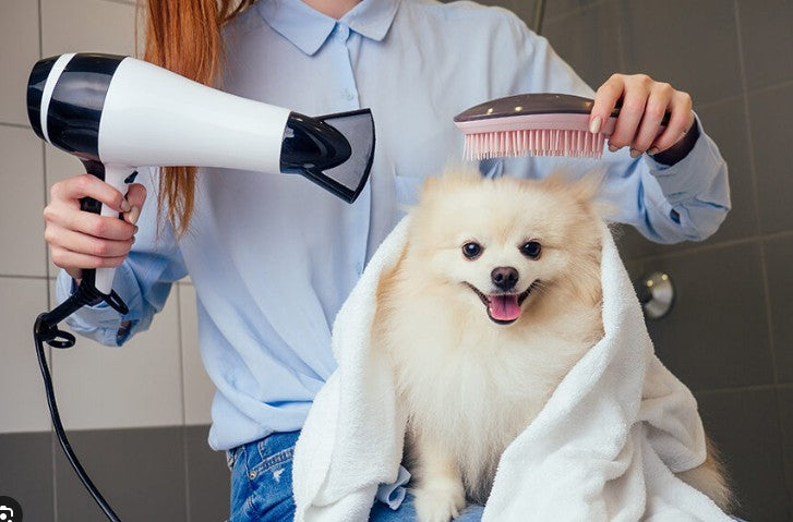Brushes, Combs, & Blow Dryers