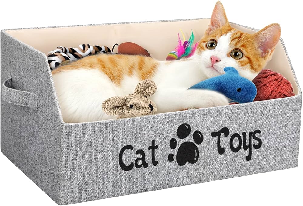 Cat Toys