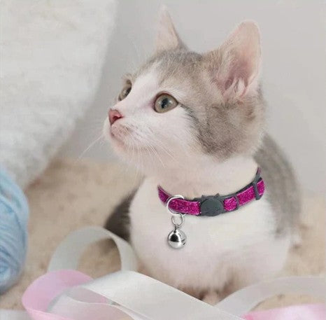 Cat Collars