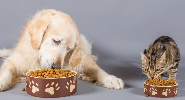 Ceramic Bowls