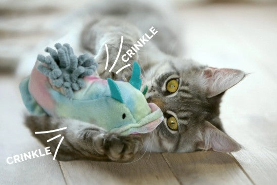 Cat Plush, Catnip, & Crinkle Toys