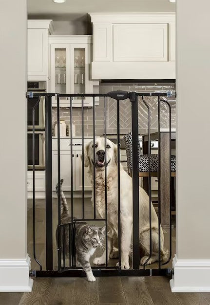 Pet Gates