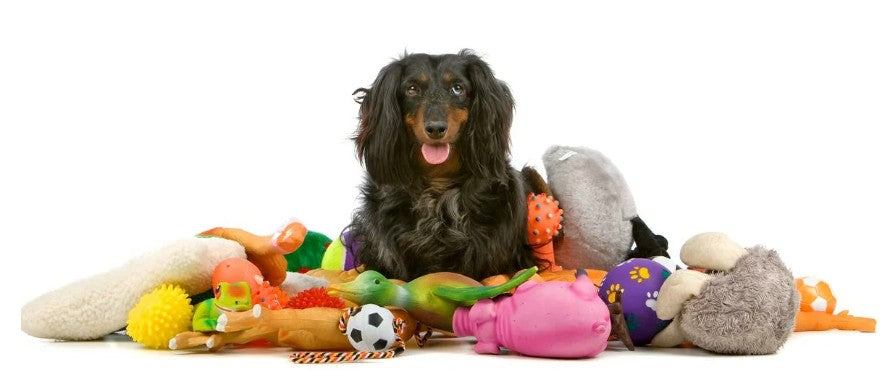 Dog Plush & Squeaky Toys
