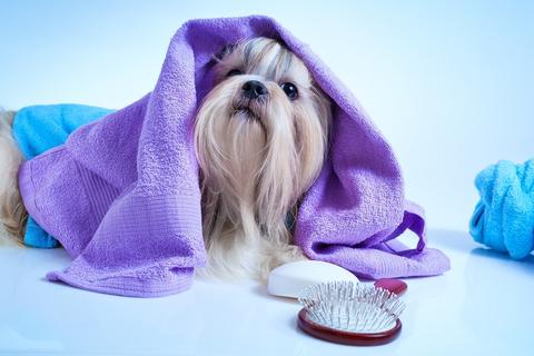 Shower & Bath Supplies