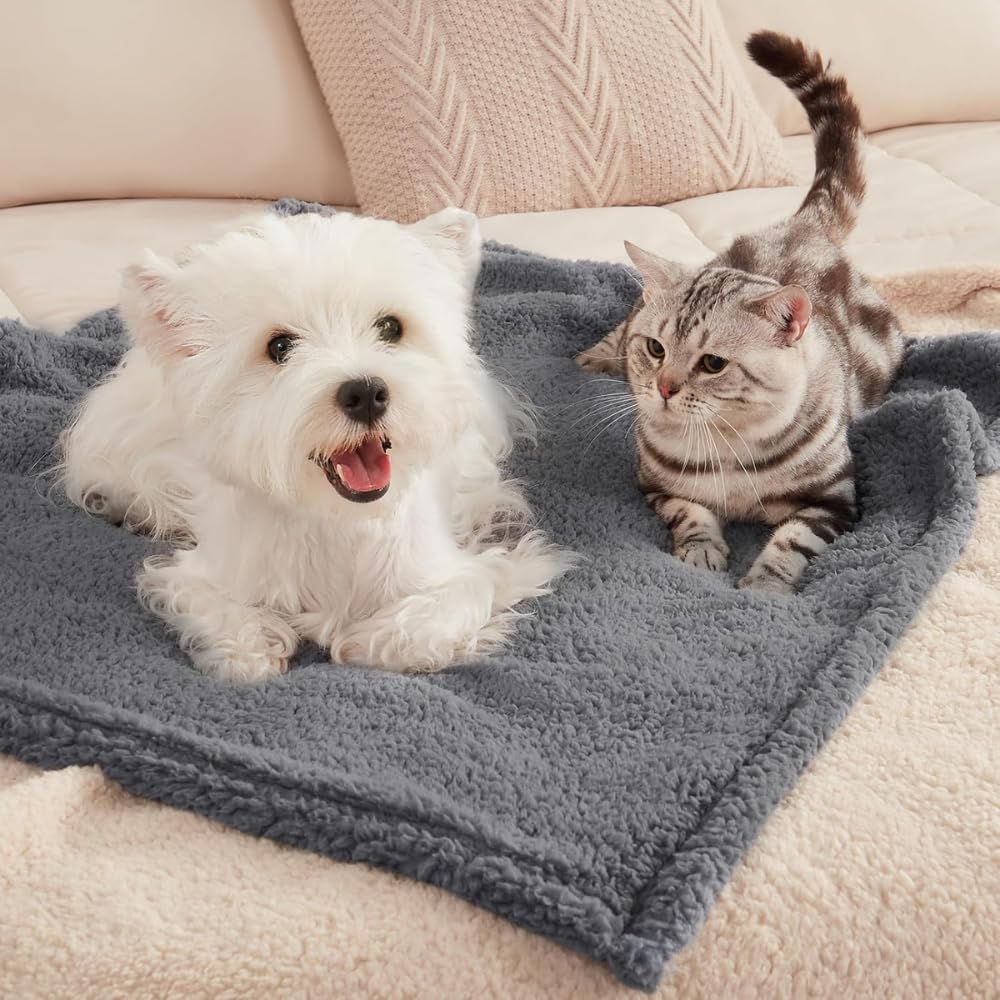 Blankets & Pads