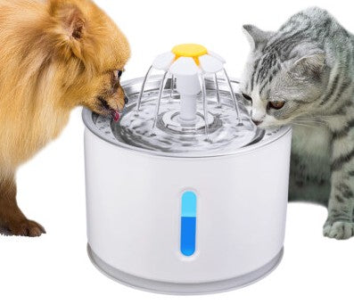 Food & Water Feeders
