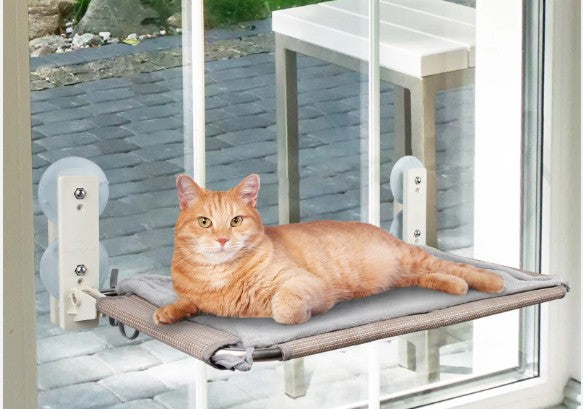 Window Perch