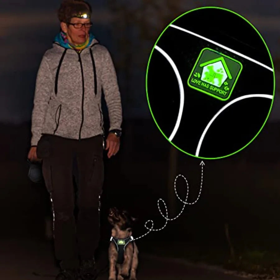 6 Pcs Small Dog or cat Harness with Retractable Leash and Bowknot Pet Collar Set for Small Dogs and Cats Soft Mesh Padded Vest Harness