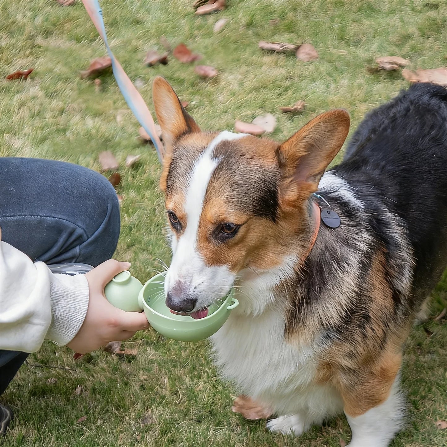 Generic Portable Dog Water Bottle Orange Polypropylene Pet Dispenser With Food Container For Walking Travel Hiking pet accessori