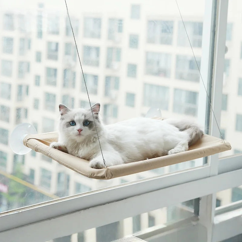 Cat hammock, cat window suction cup, cat nest, cat climbing frame, suspended balcony, glass, sun drying, pet cat bedding supplie