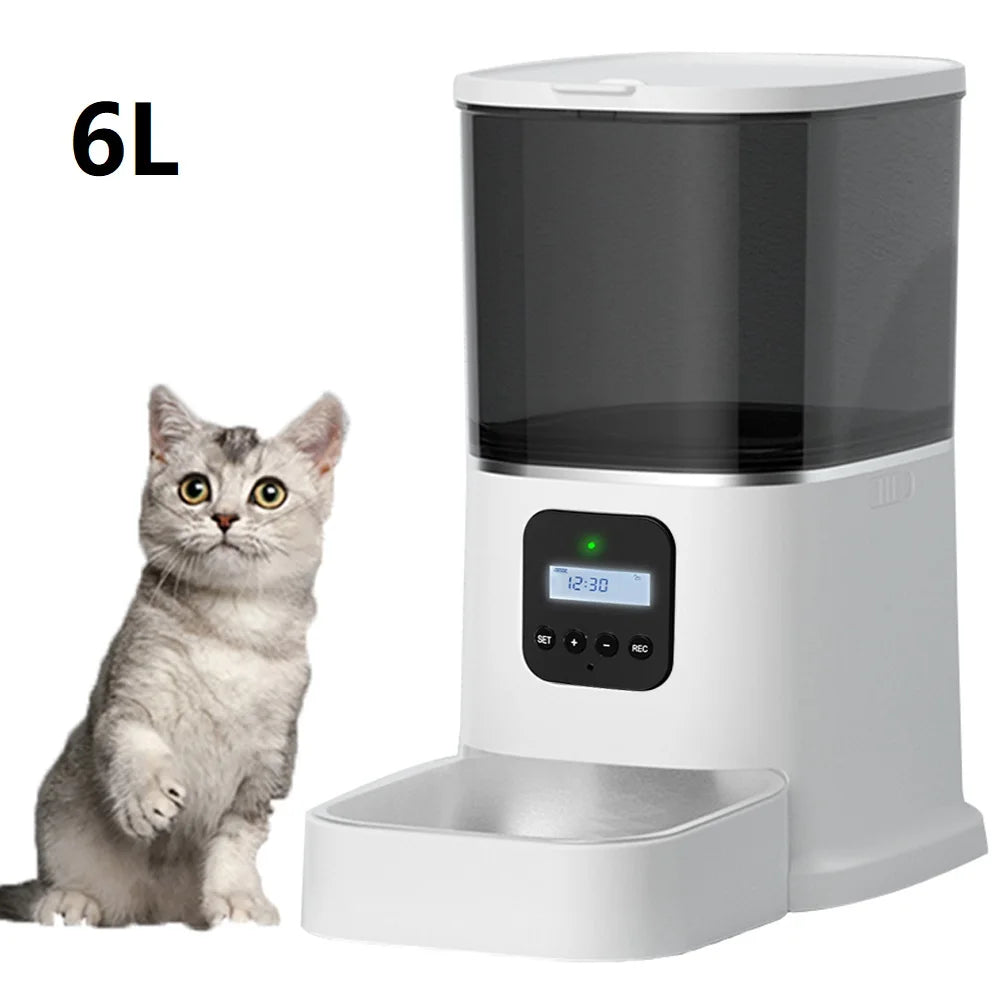 3L Automatic Pet Feeder With Voice Record Pets Food Bowl For Medium Small Dog Cat LCD Screen Dispensers 4 Times One Day