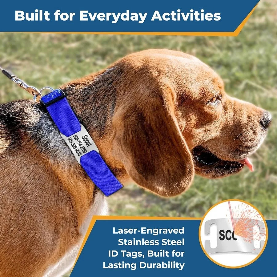 Personalized Dog Collar with Nameplate Adjustable Dog Collar with Custom Engraved Slide On Pet ID Tag in Stainless Steel for La