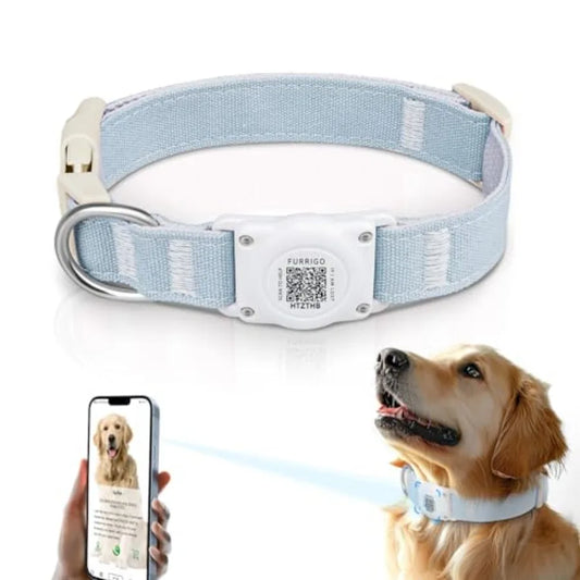 tag Dog Collar QR Code IP68 Waterproof Integrated  Tag Dog Collar Holder ID Tag Free Pet Online Profile Durable tural Cotton He