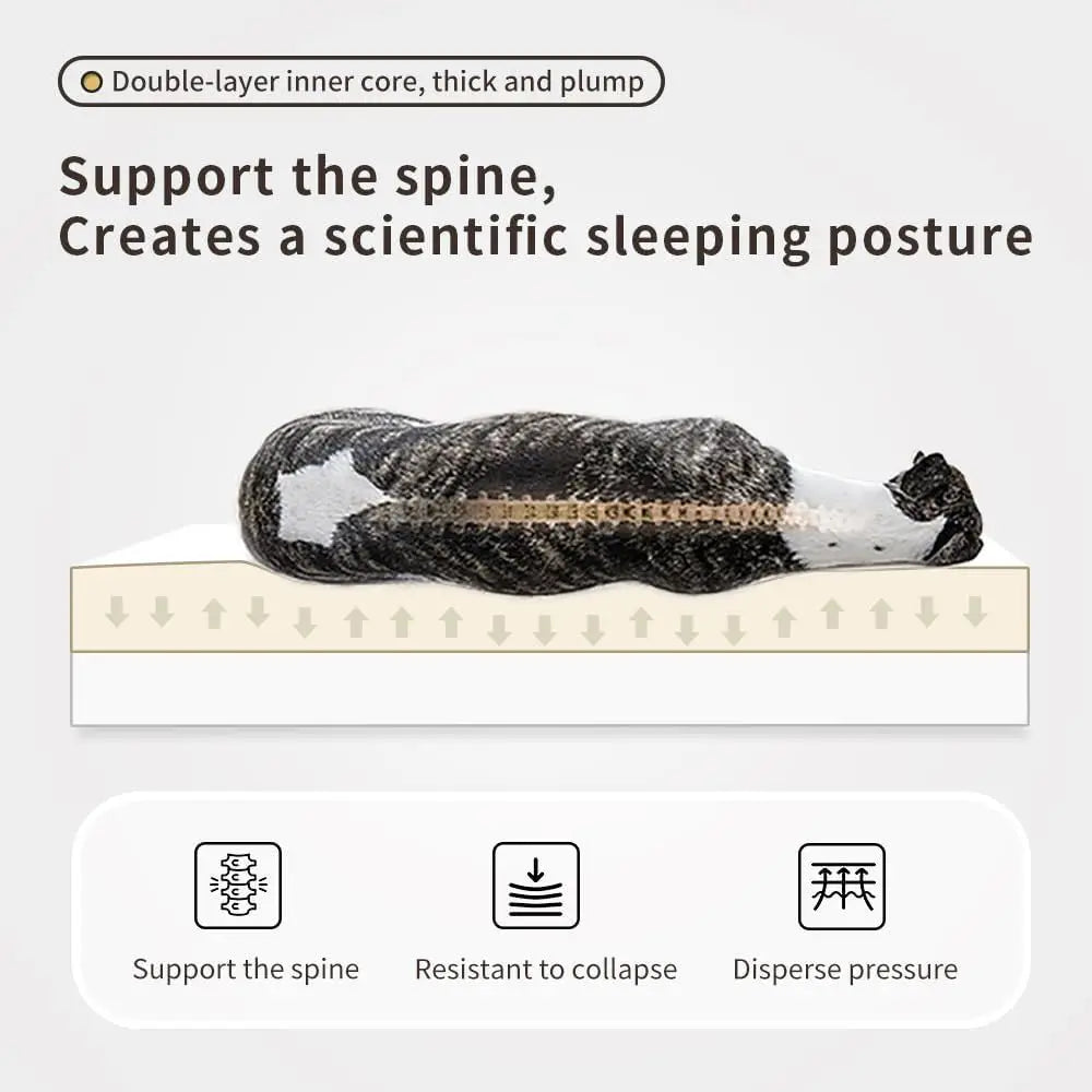 Orthopedic Dog Bed for Medium & Small Dogs - Removable, Washable PU Leather Cover, Waterproof, Brown, 27.5x19.6x4