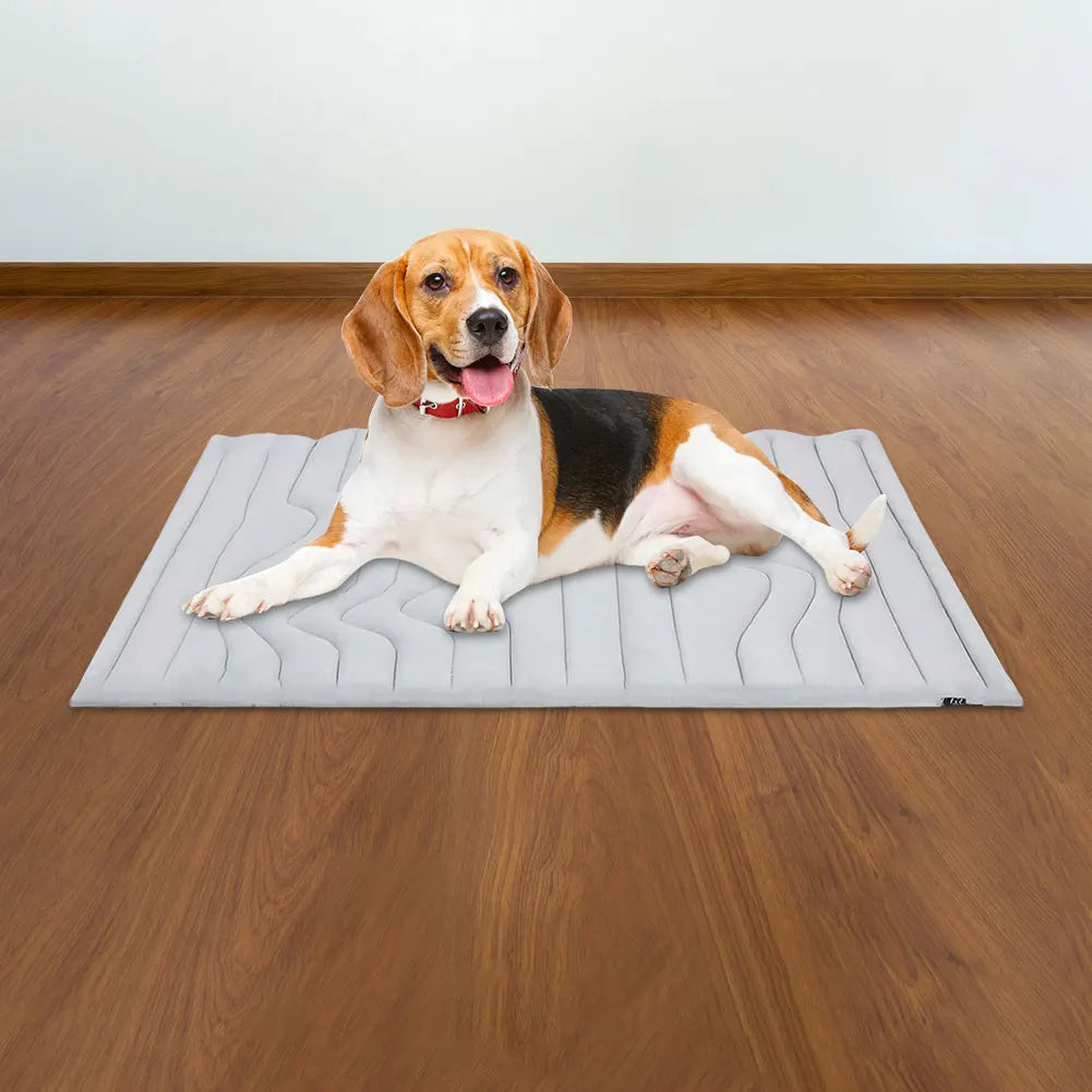 Summer Dog Cooling Mat Washable Pet Cooling Mat Dog Cooling Pad for Dogs and Cats