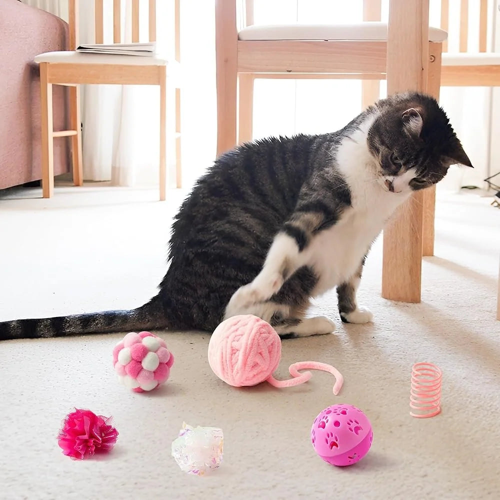 10Pcs Interactive Cat Toy Set Teaser Wand Mice Bell Balls Crinkle Balls Springs Indoor Play Cats