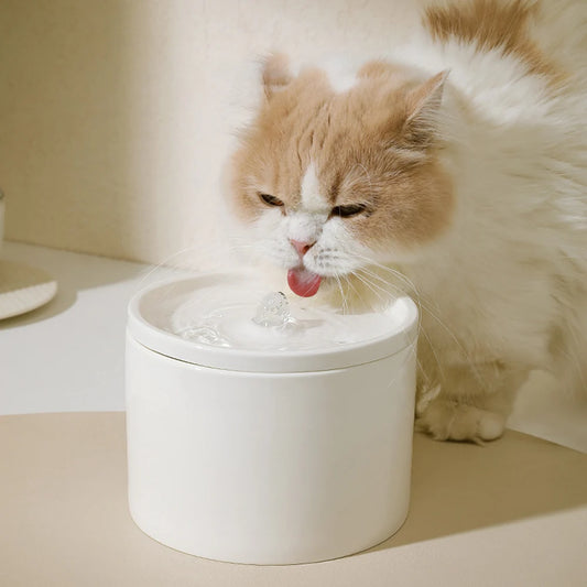 Cat Automatic Water Dispenser, Pet Ceramic Bowl, Dog Bowl Water Dispenser, Circulation And Flow Water Dispenser